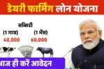 Dairy Farming Business Loan