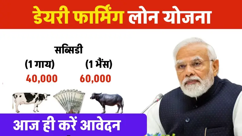 Dairy Farming Business Loan