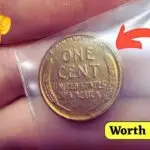 $55000 Wheat Penny Mistaken for Lincoln Coin, A Stunning Discovery