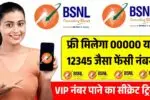 फ्री मिलेगा 00000 या 12345 जैसा फेंसी नंबर, VIP नंबर पाने का सीक्रेट ट्रिक! BSNL Fancy Number